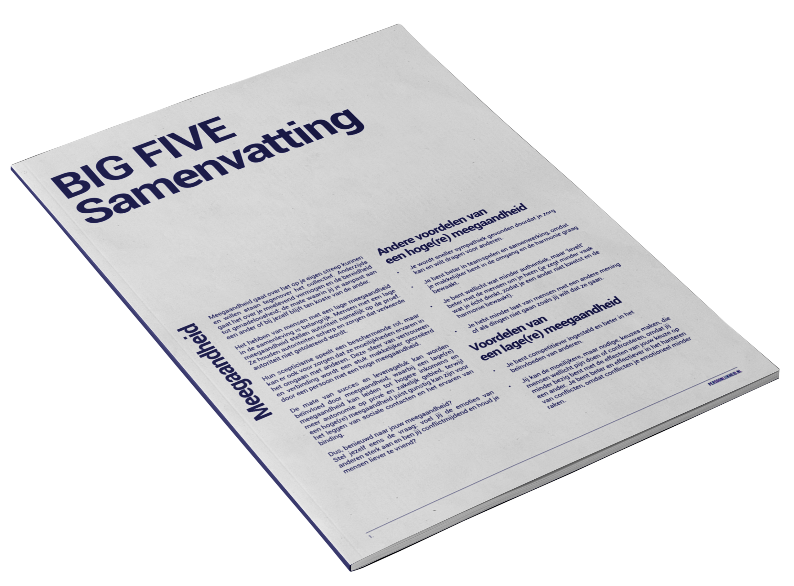 Big five samenvatting cover